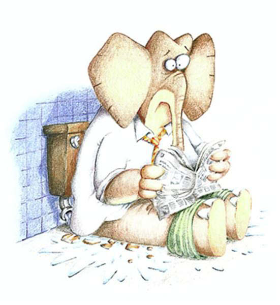 Elephant aux toilettes-humourenvrac